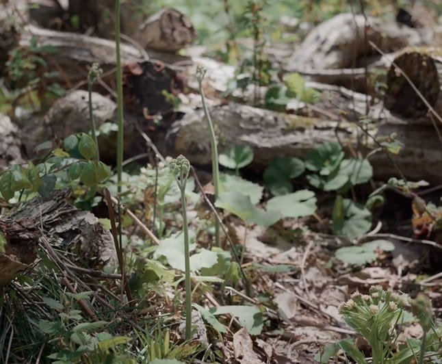 画像：イメージ