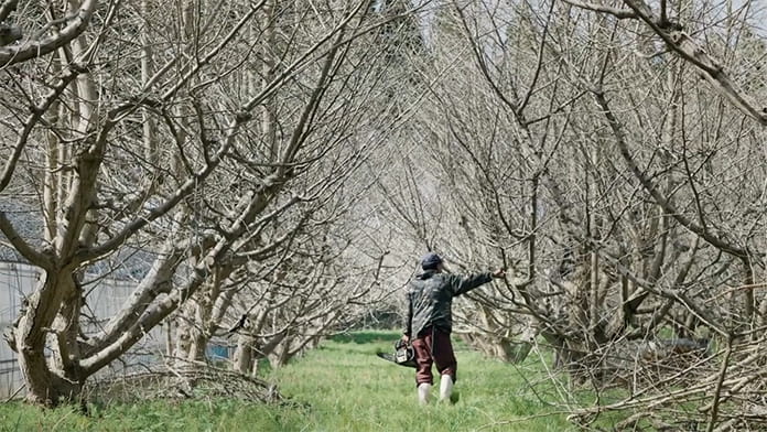 画像：高屋の写真